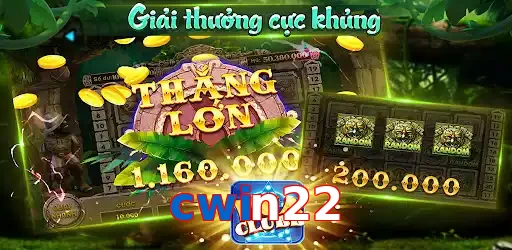 cwin22